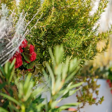 Villa Essenza - Roza