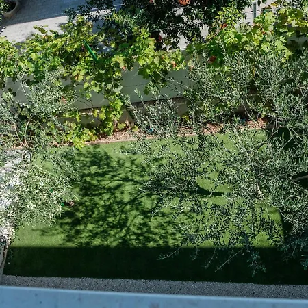 Essenza - Roza * Vodice