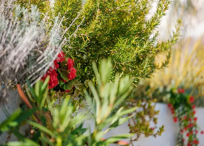 Villa Essenza - Roza