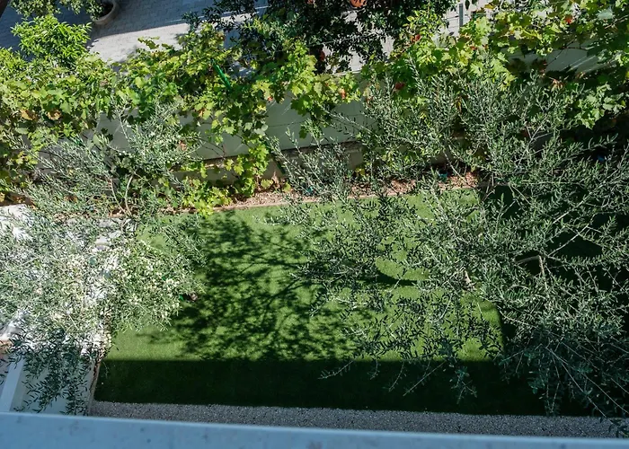 Essenza - Roza * Vodice